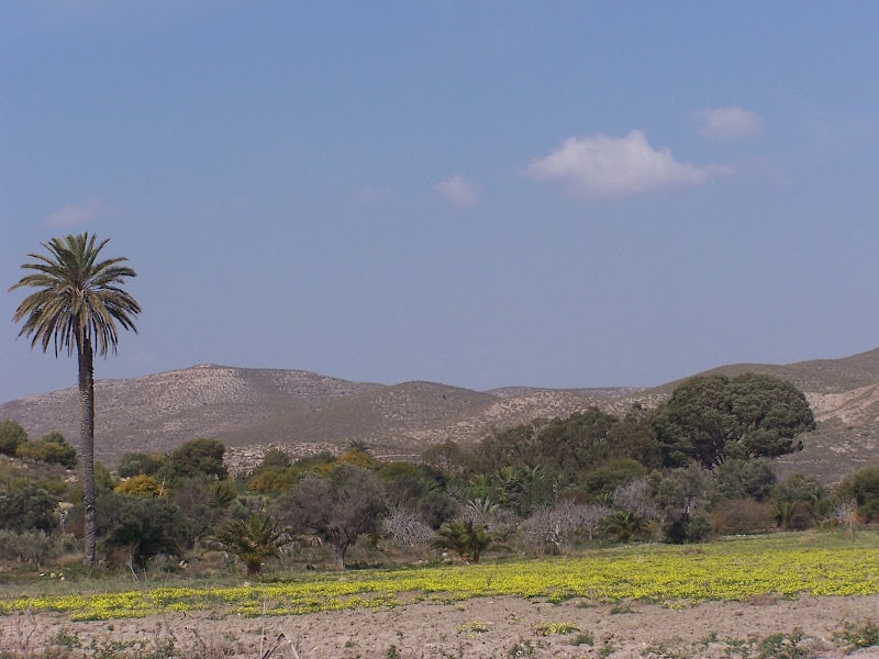 Rambla del Plomo
