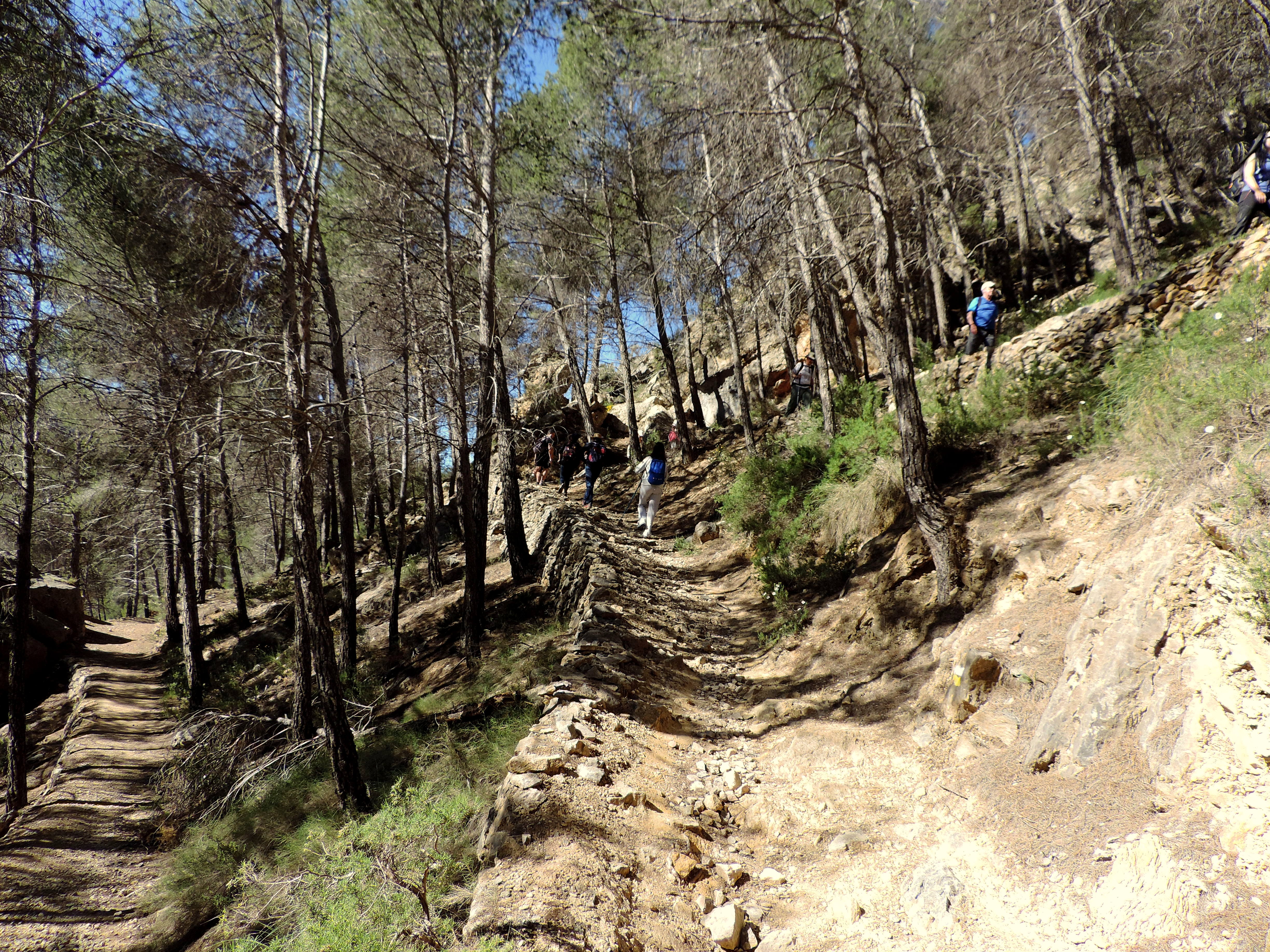 Sendero de Monterrey